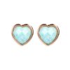 orecchini donna gioielli Bronzallure Incanto WSBZ01563.PM